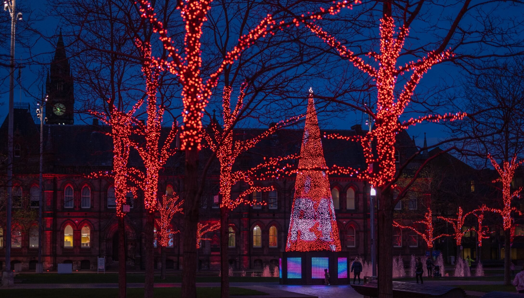 Luci di Natale da Esterno twinkly effetti di luce alberi
