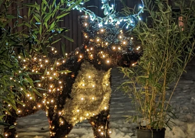 Renne luminose tridimensionali per allestimenti