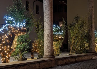 Renne luminose tridimensionali per allestimenti