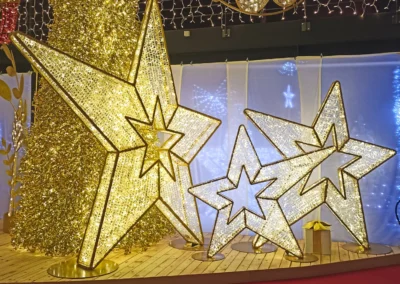 Stelle luminose tridimensionali