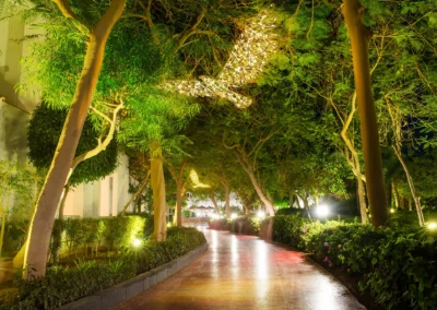 animali luminosi 3d per allestimenti 2